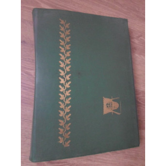 CLASOR TIMBRE DIVERSE, HOBBY. 10 FILE, FORMAT MARE