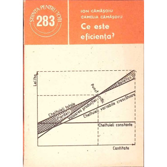 CE ESTE EFICIENTA?