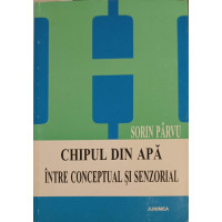 CHIPUL DIN APA INTRE CONCEPTUAL SI SENZORIAL CHIPUL DIN APA INTRE CONCEPTUAL SI SENZORIAL