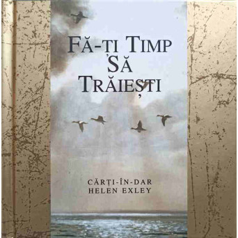 FA-TI TIMP SA TRAIESTI