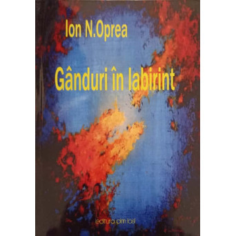 GANDURI IN LABIRINT