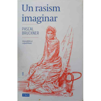 UN RASISM IMAGINAR. ISLAMOFOBIE SI CULPABILITATE