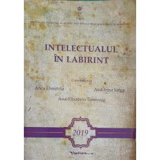 INTELECTUALUL IN LABIRINT