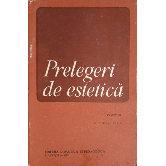 PRELEGERI DE ESTETICA: COMICUL