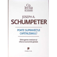 POATE SUPRAVIETUI CAPITALISMUL? DISTRUGEREA CREATOARE SI VIITORUL ECONOMIEI GLOBALE POATE SUPRAVIETUI CAPITALISMUL? DISTRUGEREA CREATOARE SI VIITORUL ECONOMIEI GLOBALE