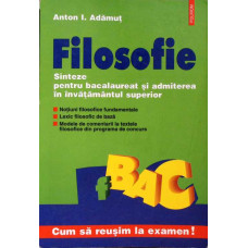 FILOSOFIE. SINTEZE PENTRU BACALAUREAT (BAC 1999)