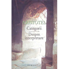 CATEGORII. DESPRE INTERPRETARE