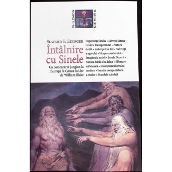 INTALNIRE CU SINELE. UN COMENTARIU JUNGIAN LA ILUSTRATII LA CARTEA LUI IOV DE WILLIAM BLAKE