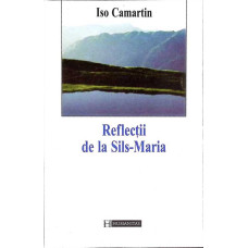 REFLECTII DE LA SILS-MARIA. O PRIVIRE DE PE ACOPERISURILE EUROPEI