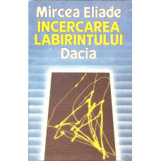 INCERCAREA LABIRINTULUI