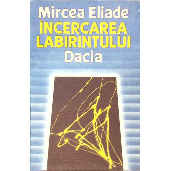 INCERCAREA LABIRINTULUI