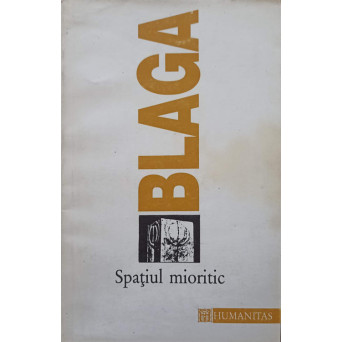 SPATIUL MIORITIC