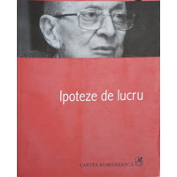 IPOTEZE DE LUCRU IPOTEZE DE LUCRU