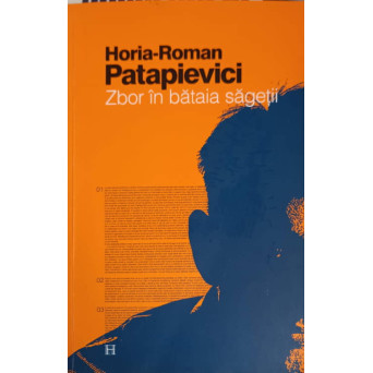 ZBOR IN BATAIA SAGETII. ESEU ASUPRA FORMARII
