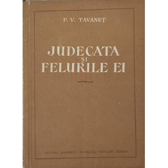 JUDECATA SI FELURILE EI