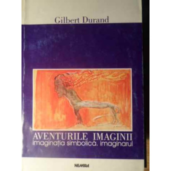 AVENTURILE IMAGINII IMAGINATIA SIMBOLICA. IMAGINARUL