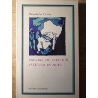 BREVIAR DE ESTETICA. ESTETICA IN NUCE BREVIAR DE ESTETICA. ESTETICA IN NUCE