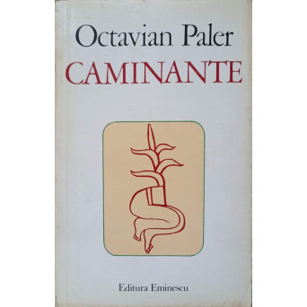CAMINANTE