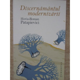 DISCERNAMANTUL MODERNIZARII