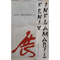 FENIX INFLAMABIL FENIX INFLAMABIL