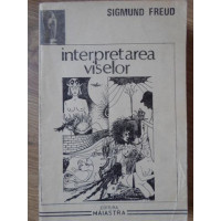 INTERPRETAREA VISELOR