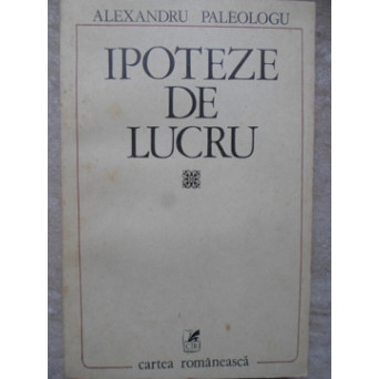 IPOTEZE DE LUCRU