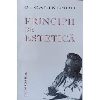 PRINCIPII DE ESTETICA