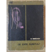 CE ESTE SUNETUL? CE ESTE SUNETUL?