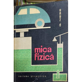 MICA FIZICA