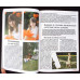 GHID COMPLET: FOTOGRAFIA DE PORTRET PE INTELESUL TUTUROR