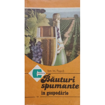 BAUTURI SPUMANTE IN GOSPODARIE