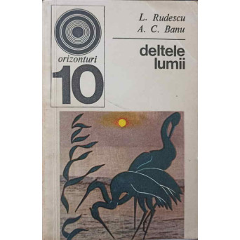 DELTELE LUMII