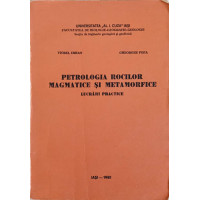 PETROLOGIA ROCILOR MAGMATICE SI METAMORFICE PETROLOGIA ROCILOR MAGMATICE SI METAMORFICE