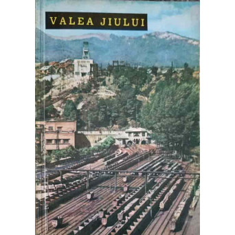 VALEA JIULUI