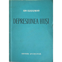 DEPRESIUNEA HUSI DEPRESIUNEA HUSI