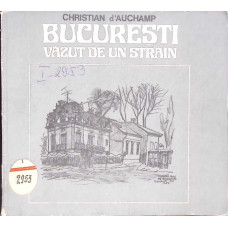 BUCURESTI VAZUT DE UN STRAIN