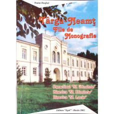 TARGU NEAMT, FILE DE MONOGRAFIE