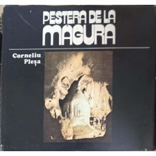 PESTERA DE LA MAGURA