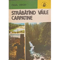 STRABATAND VAILE CARPATINE STRABATAND VAILE CARPATINE