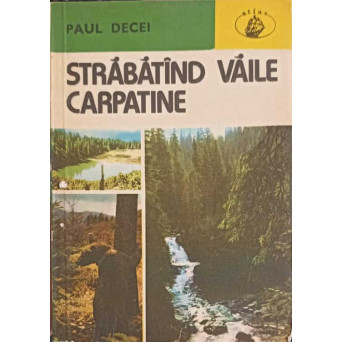 STRABATAND VAILE CARPATINE