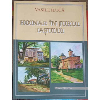 HOINAR IN JURUL IASULUI