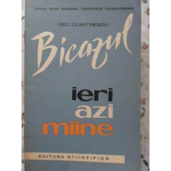 BICAZUL IERI, AZI, MAINE