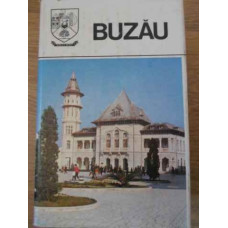 BUZAU MONOGRAFIE