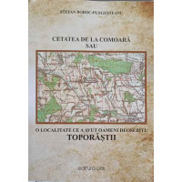 CETATEA DE LA COMOARA SAU O LOCALITATE CE A AVUT OAMENI DEOSEBITI: TOPORASTII CETATEA DE LA COMOARA SAU O LOCALITATE CE A AVUT OAMENI DEOSEBITI: TOPORASTII