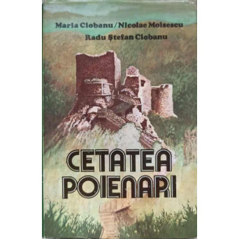CETATEA POIENARI