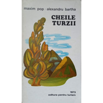 CHEILE TURZII
