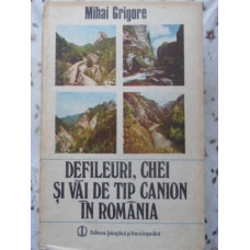 DEFILEURI, CHEI SI VAI DE TIP CANION IN ROMANIA