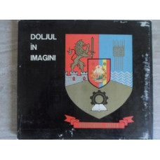 DOLJUL IN IMAGINI