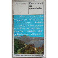 DRUMURI SI CONDEIE DRUMURI SI CONDEIE