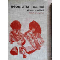 GEOGRAFIA FOAMEI. DILEMA BRAZILIANA: PAINE SAU OTEL GEOGRAFIA FOAMEI. DILEMA BRAZILIANA: PAINE SAU OTEL